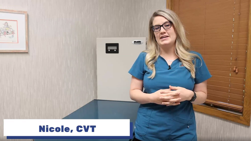 Why You Should Crate Train River Valley Veterinary Service