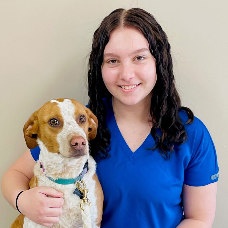 Team - Vet in Prior Lake | River Valley Veterinary Service