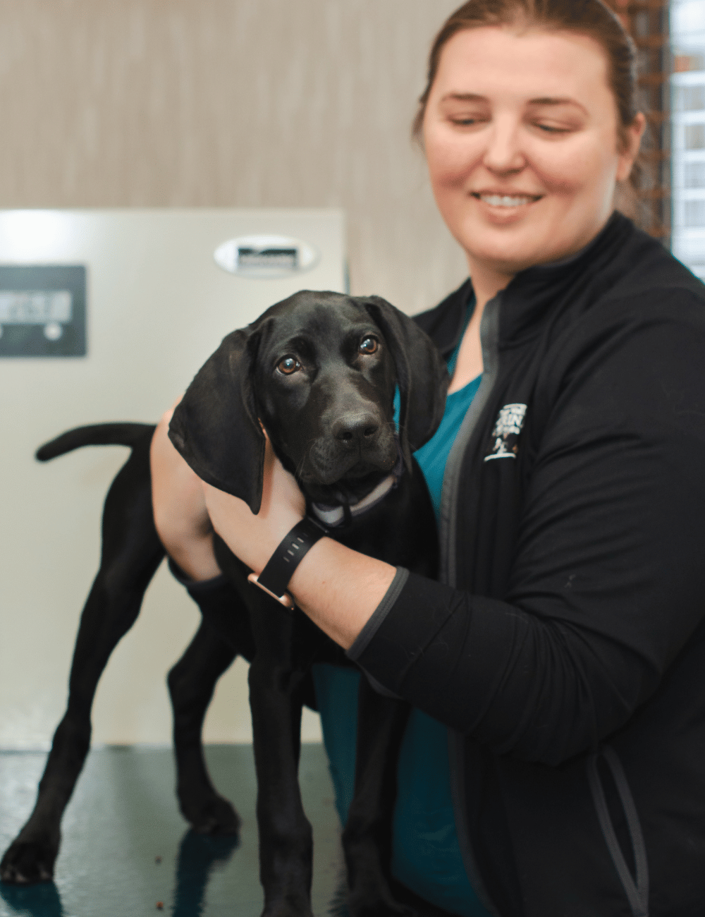 team member with a black puppy during a wellness exam